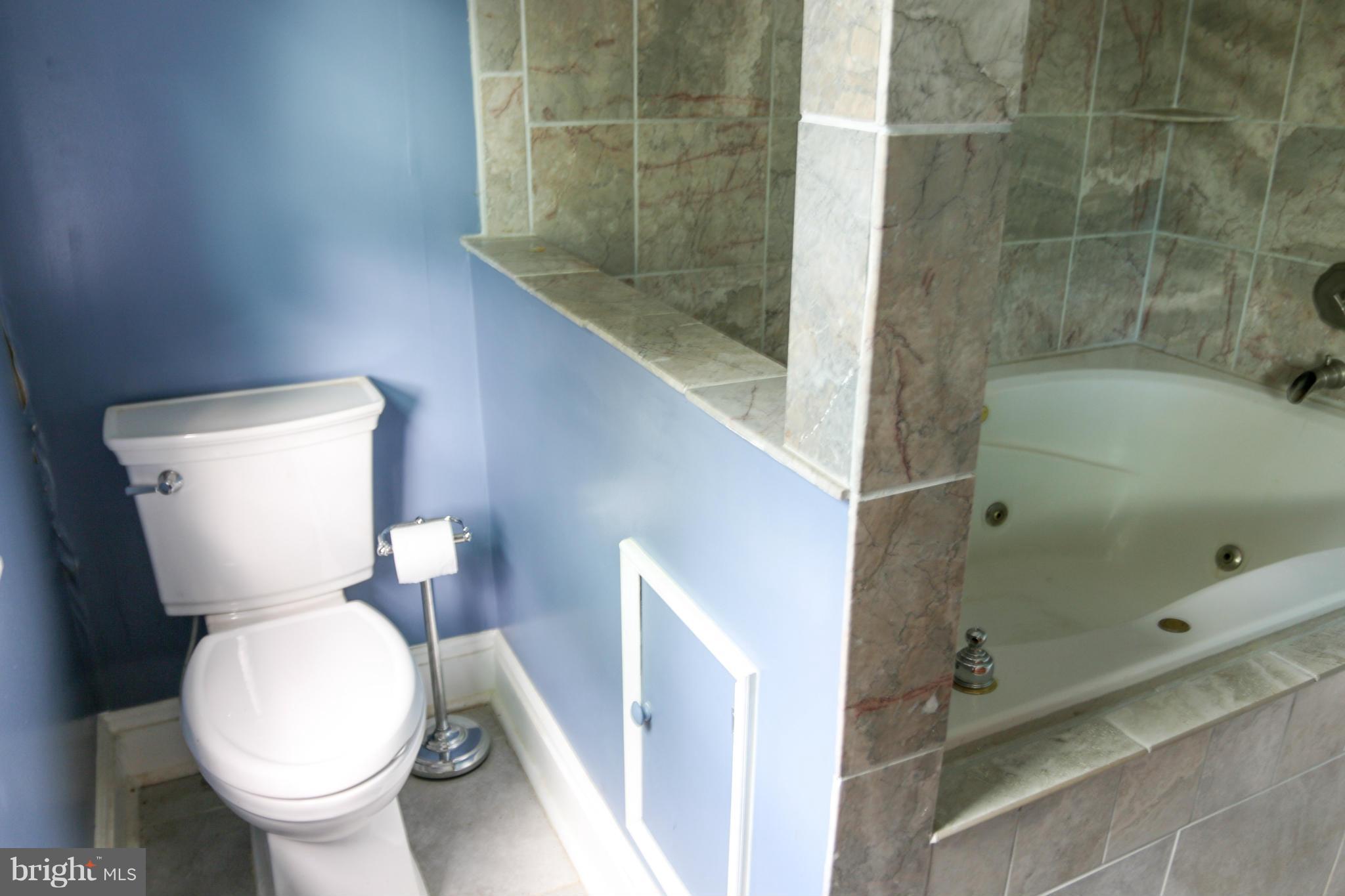 3309 Offutt Road Randallstown, MD 21133 - Photo 14 of 21 Master Bath with deep Jacuzzi Tub