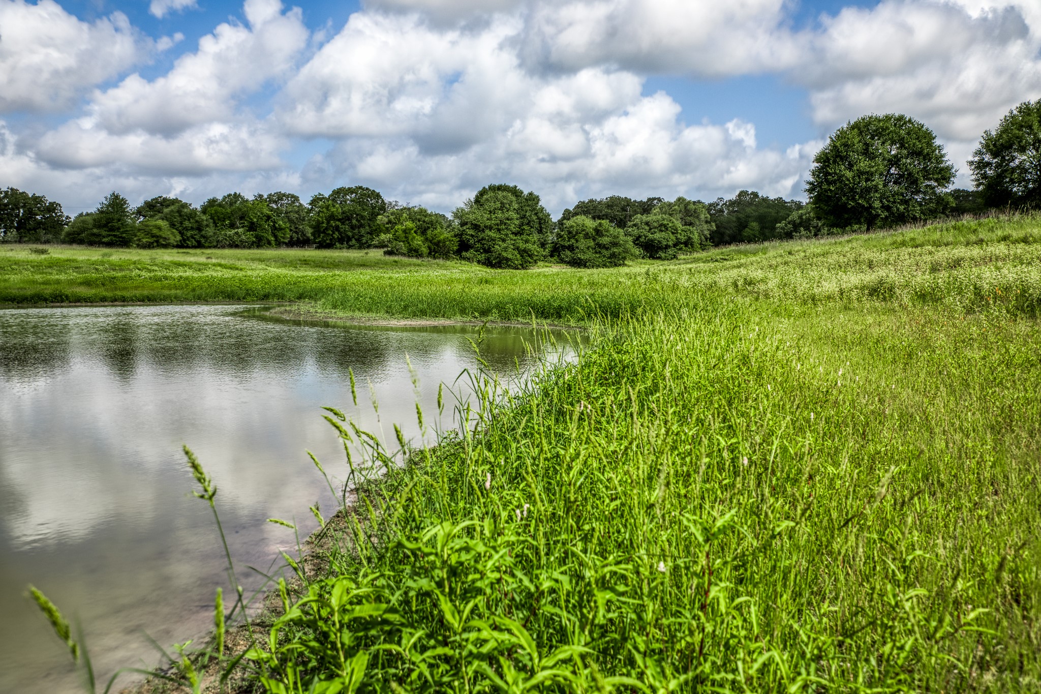 1470 South Nassau Road Round Top, TX 78954 - Photo 27 of 30 a view of a lake with a big yard