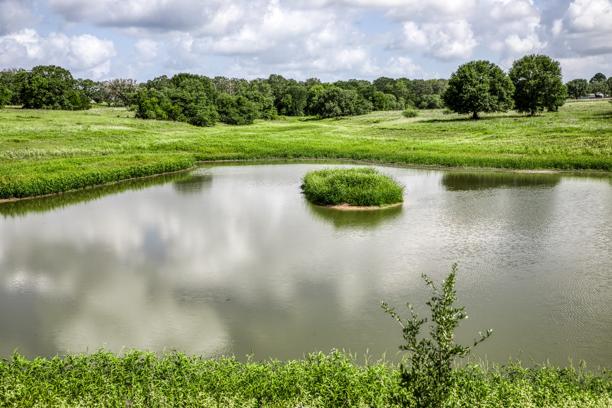 1470 South Nassau Road Round Top, TX 78954 - Photo 28 of 30 a view of a lake with a yard