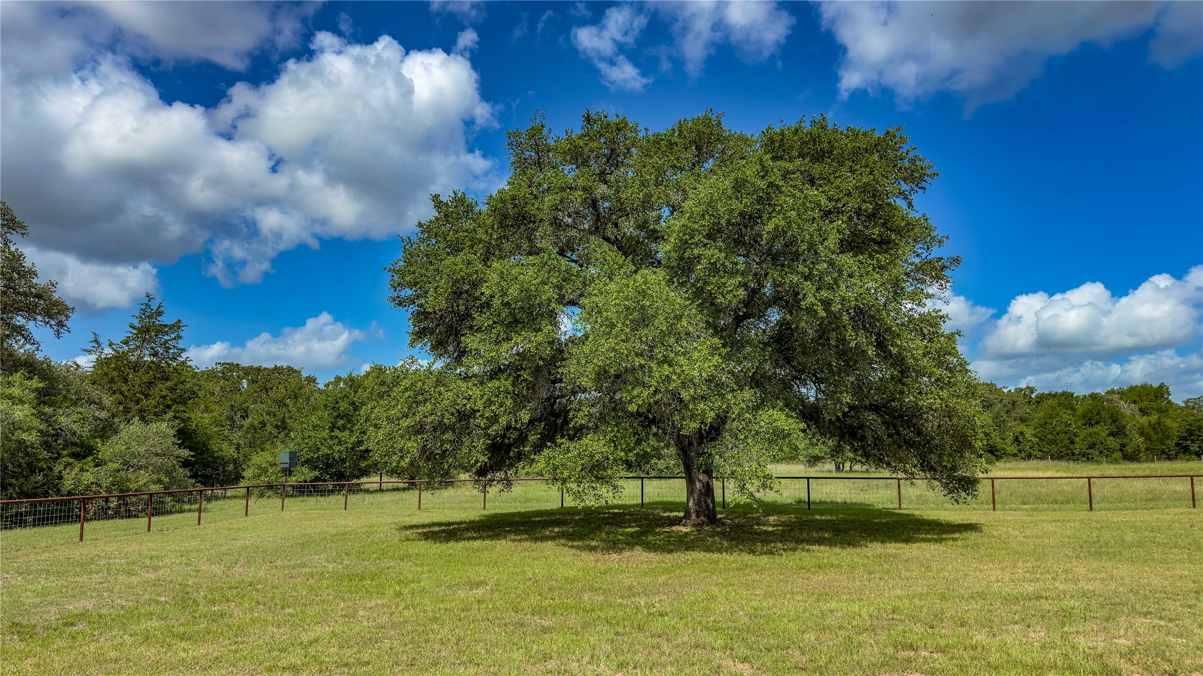 1470 South Nassau Road Round Top, TX 78954 - Photo 4 of 30 a view of a golf course with a lake