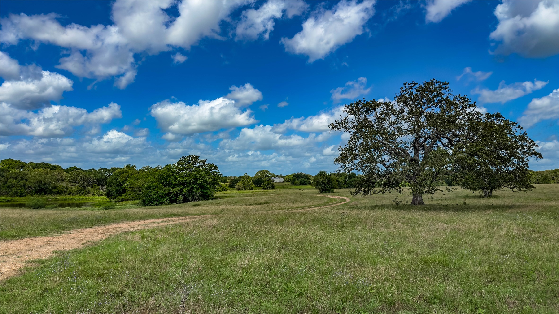 1470 South Nassau Road Round Top, TX 78954 - Photo 5 of 30 a view of a big yard with a large tree
