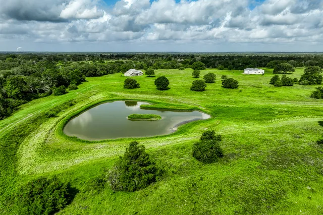 a view of a lush green field