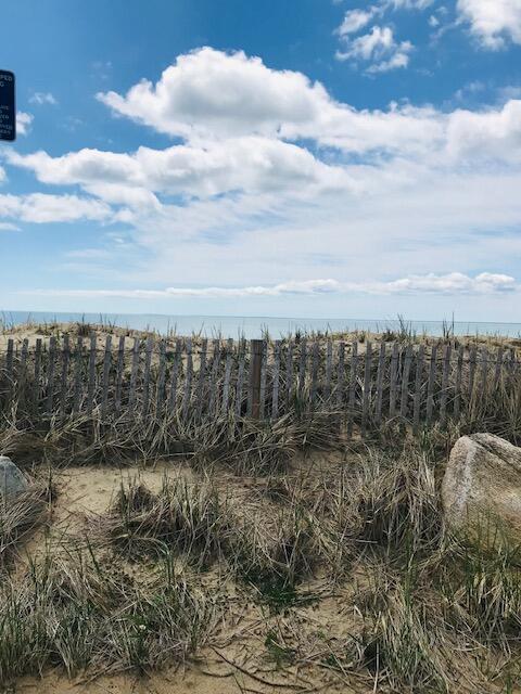37 The Hunt Circle Mashpee, MA 02649 - Photo 70 of 73 a view of a lake in middle of forest
