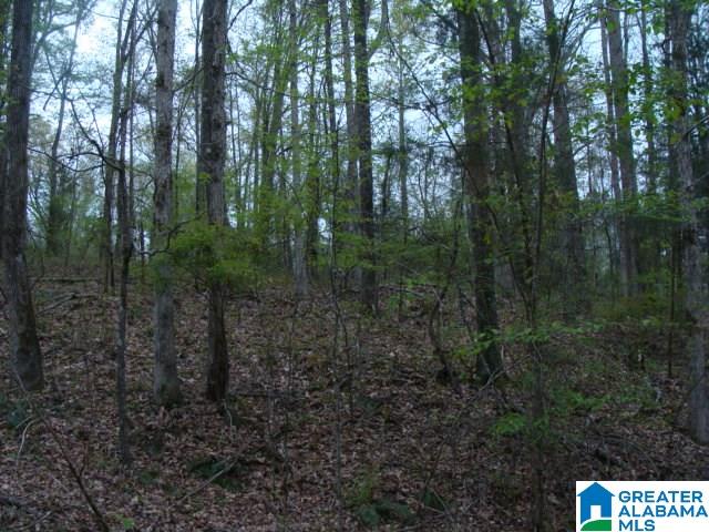 406 Caffe Ridge, Unit PARCEL Woodstock, AL 35188 - Photo 21 of 30