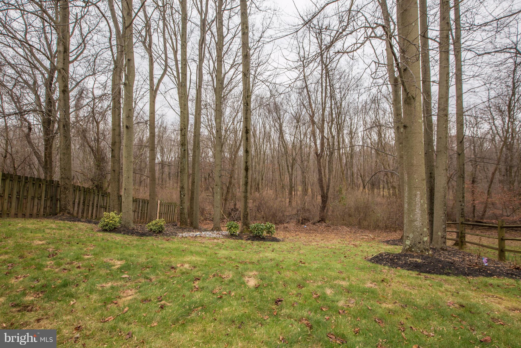 68 Kristopher Drive Hamilton, NJ 08620 - Photo 2 of 40 Back yard view
