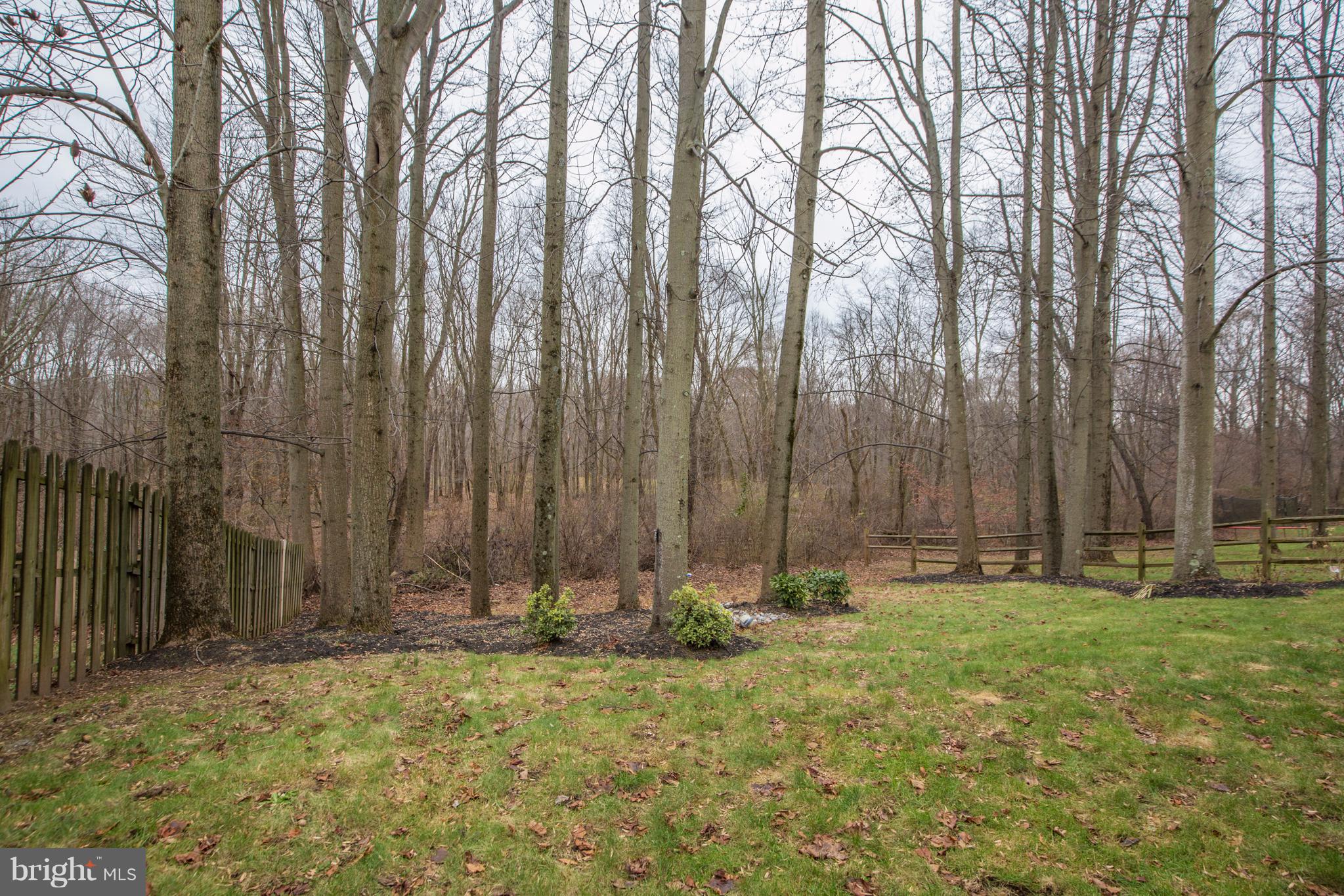 68 Kristopher Drive Hamilton, NJ 08620 - Photo 40 of 40 Wooded view