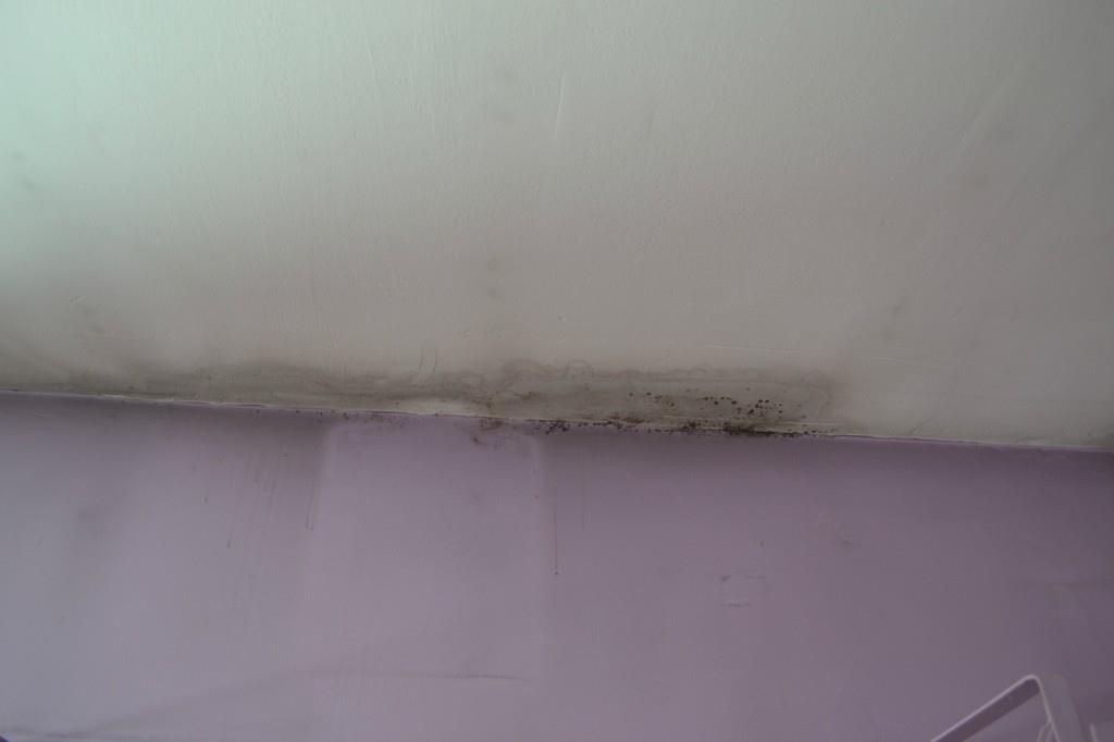13 Warner Road Arrowsic, ME 04530 - Photo 20 of 31 Photo