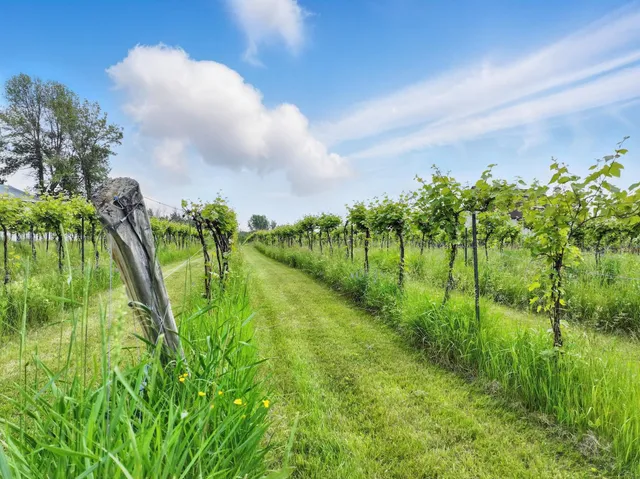 $975,000 | 85 Shrine Road, Isle La Motte, VT 05463