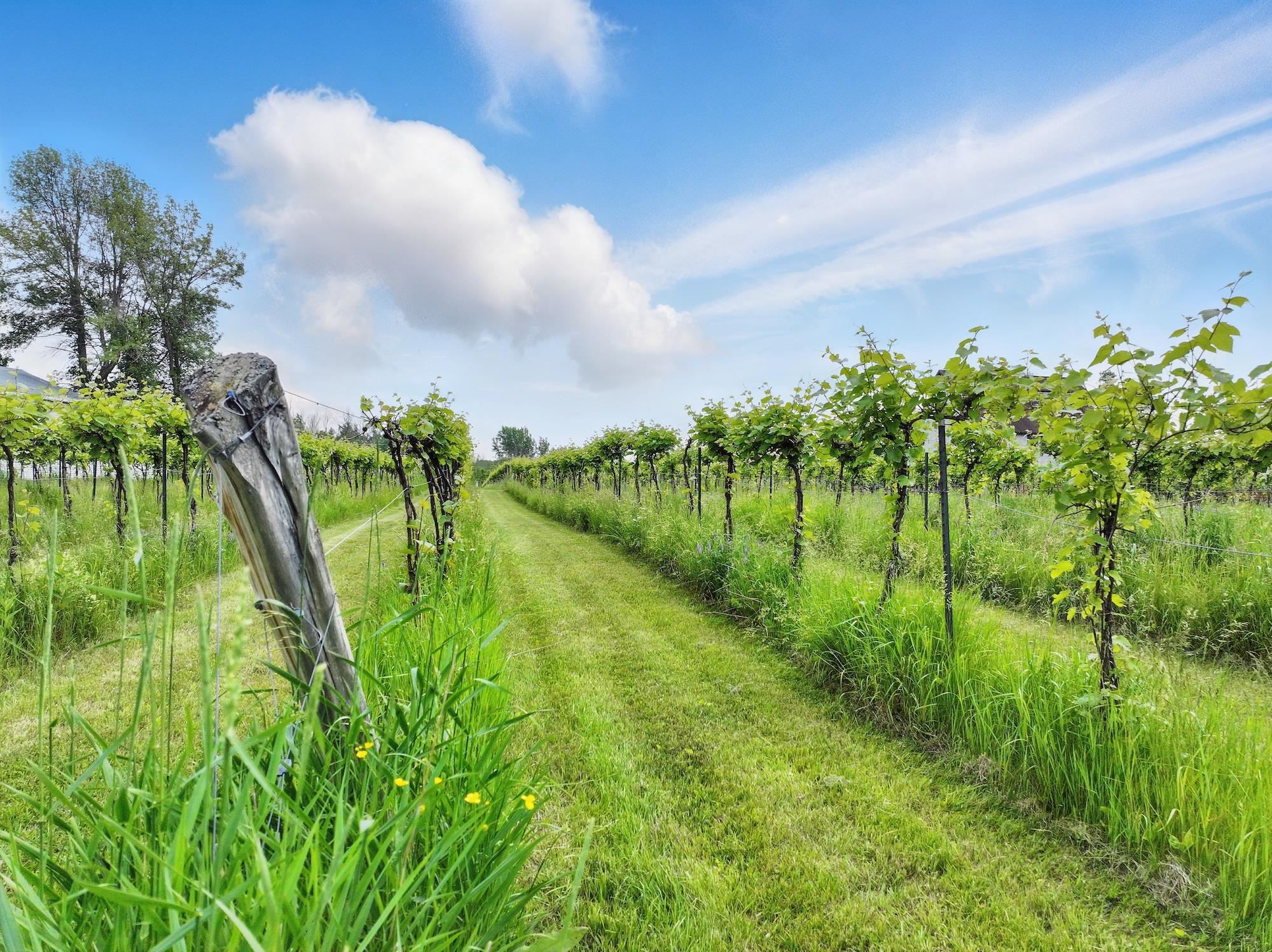 85 Shrine Road Isle La Motte, VT 05463 - Photo 5 of 60