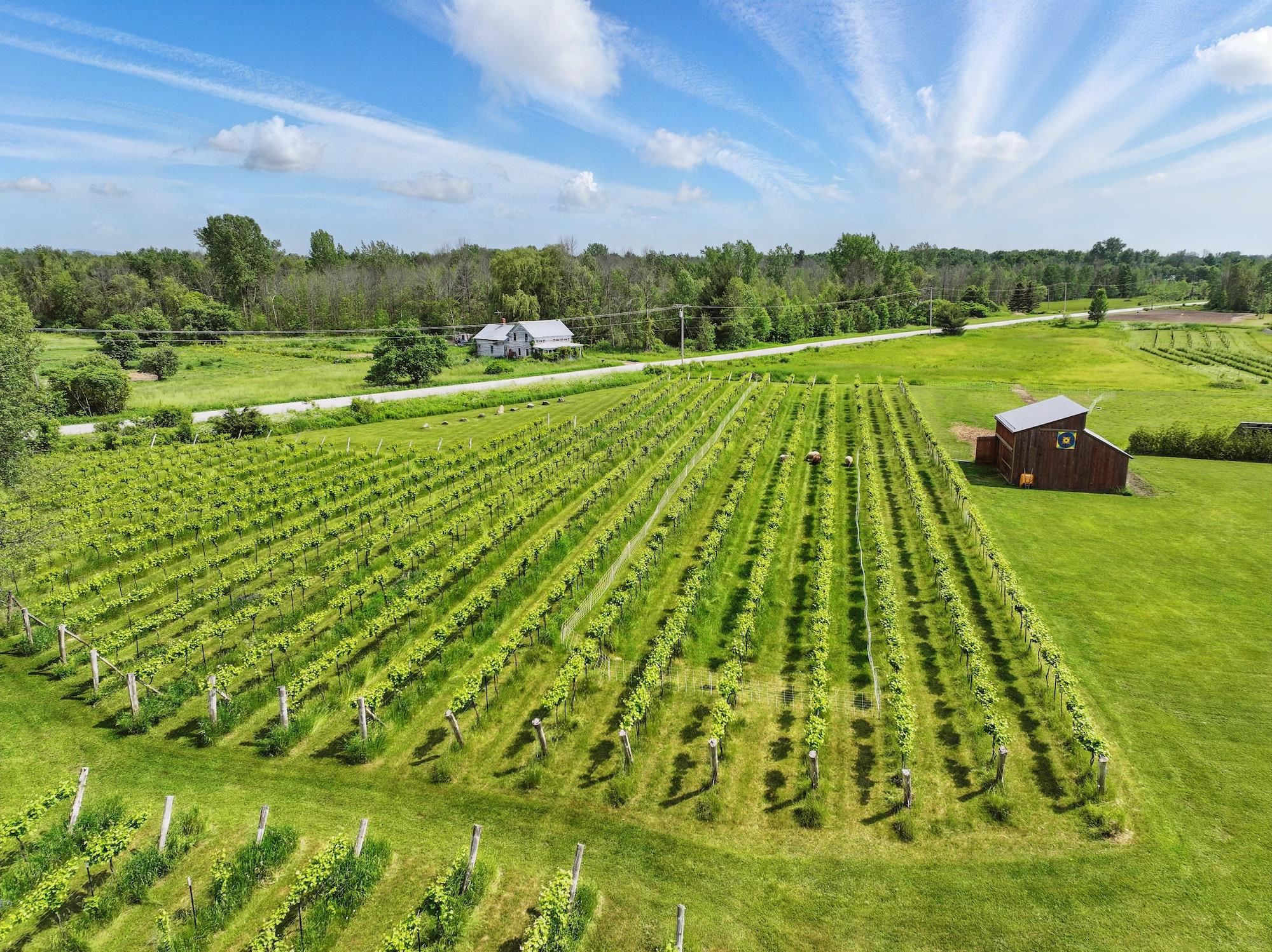 85 Shrine Road Isle La Motte, VT 05463 - Photo 8 of 60