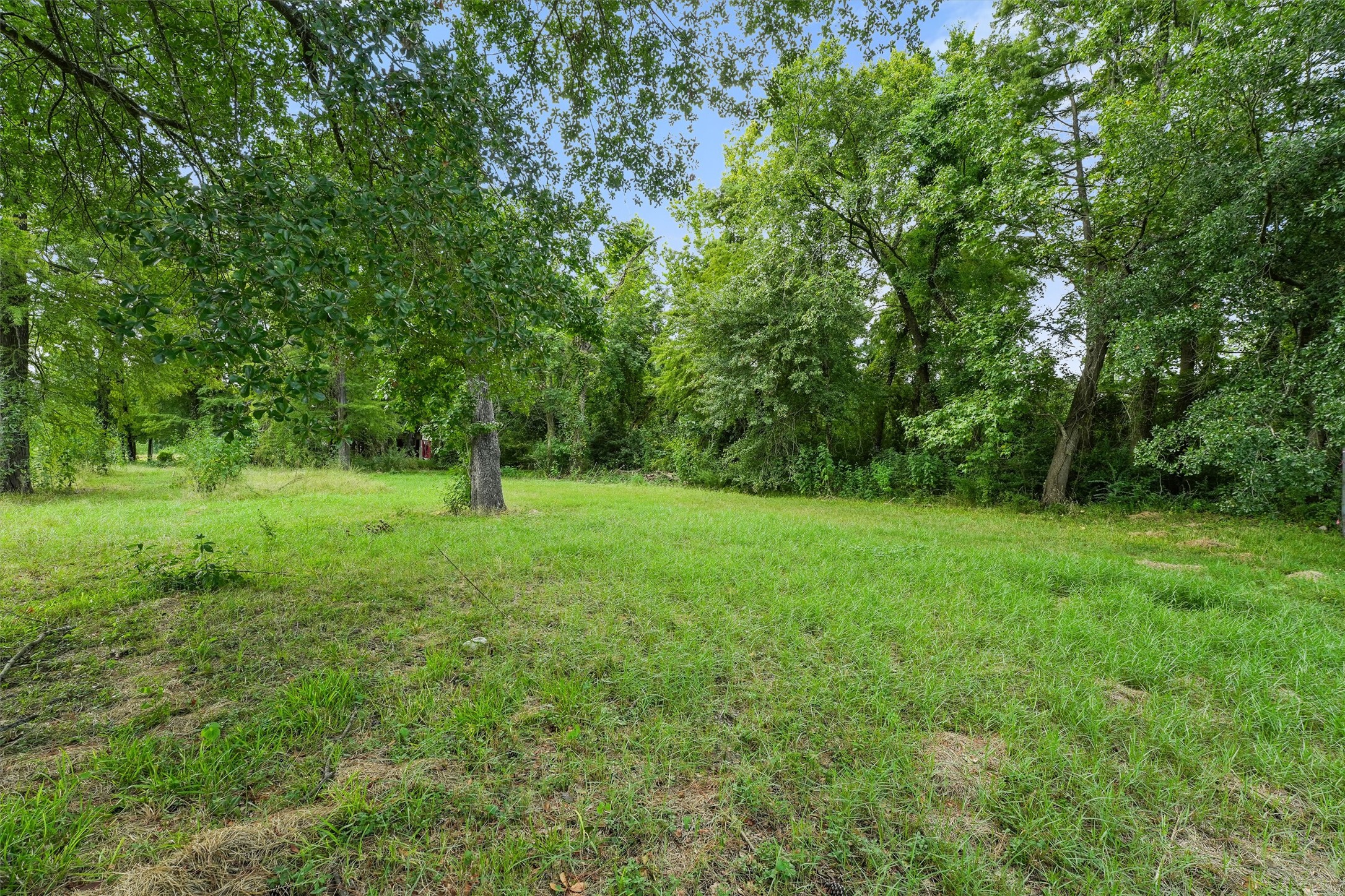19022 Rio Villa Drive Houston, TX 77049 - Photo 2 of 6 a backyard of a house with lots of green space