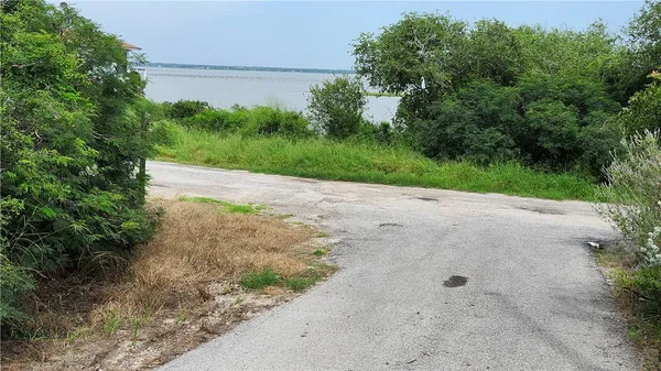 a view of a pathway with a yard
