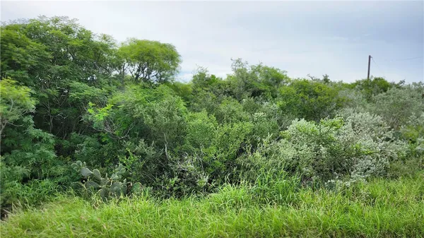 $68,000 | 211 South Vista Drive, Sandia, TX 78383