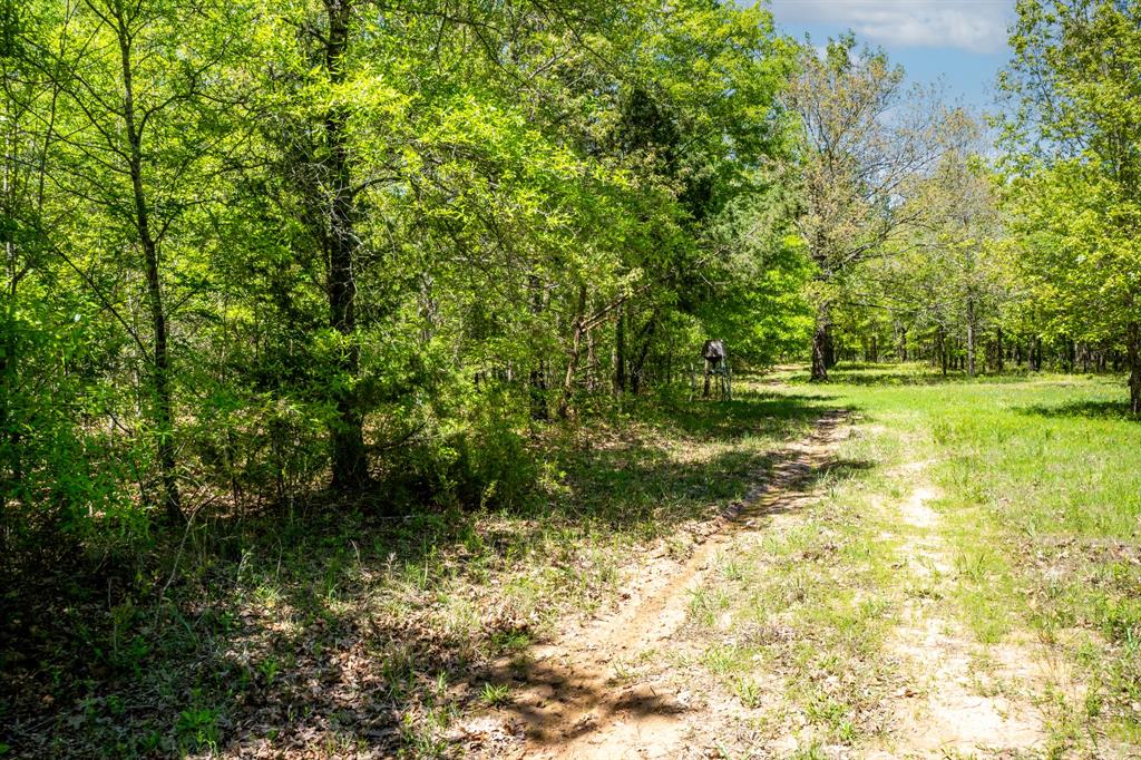 0 Fm 196 Deport, TX 75435 - Photo 22 of 33 a view of a field with a tree