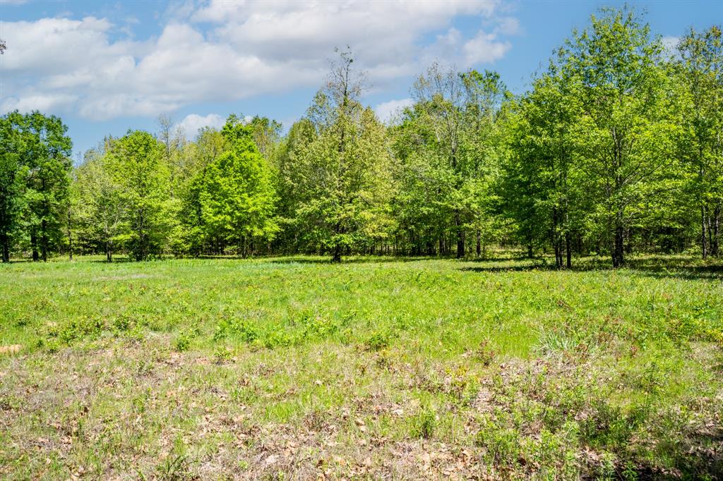 0 Fm 196 Deport, TX 75435 - Photo 23 of 33 a view of garden view