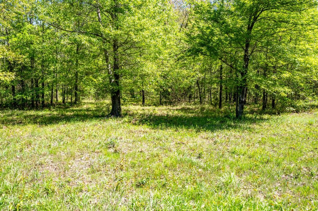 0 Fm 196 Deport, TX 75435 - Photo 24 of 33 a view of outdoor space