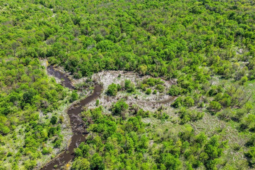 0 Fm 196 Deport, TX 75435 - Photo 29 of 33 a view of a forest with a tree