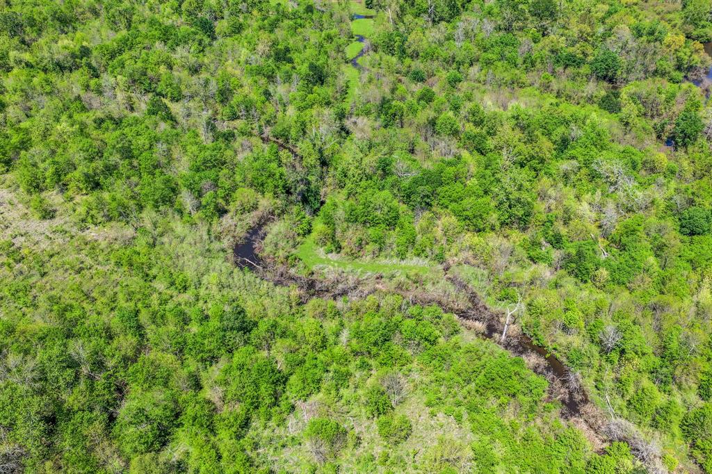 0 Fm 196 Deport, TX 75435 - Photo 31 of 33 a view of a lush green forest with a tree