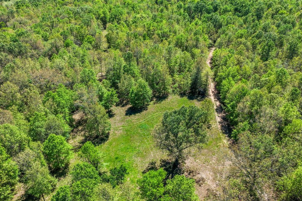 0 Fm 196 Deport, TX 75435 - Photo 32 of 33 a view of a lush green forest