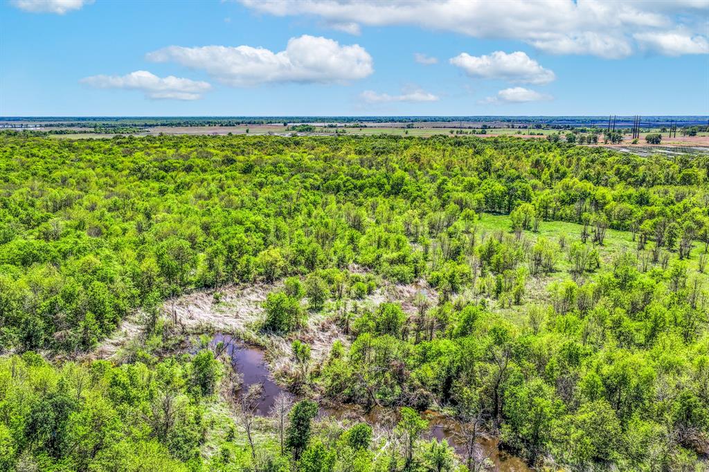 0 Fm 196 Deport, TX 75435 - Photo 6 of 33 a view of a field