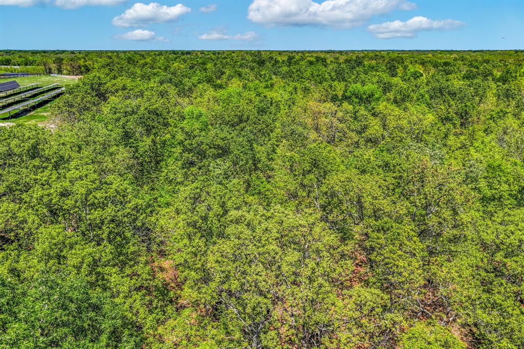 0 Fm 196 Deport, TX 75435 - Photo 9 of 33 a view of a bunch of plants