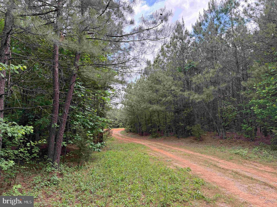Bell Road Dillwyn, VA 23936 - Photo 11 of 21