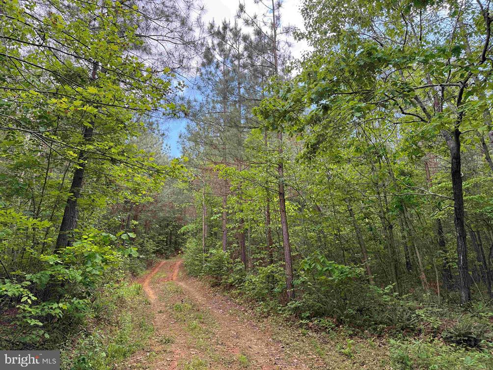 Bell Road Dillwyn, VA 23936 - Photo 13 of 21
