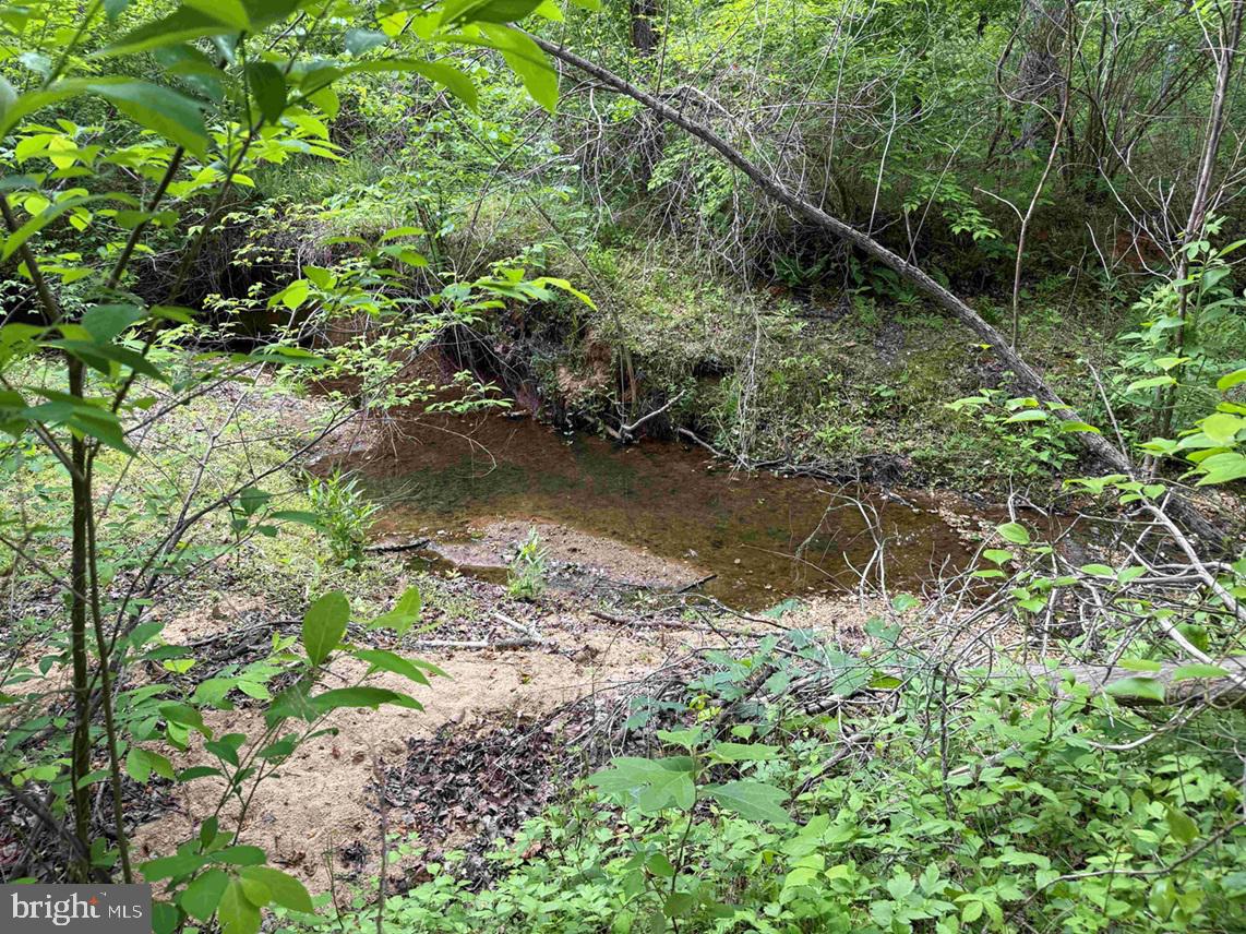 Bell Road Dillwyn, VA 23936 - Photo 15 of 21