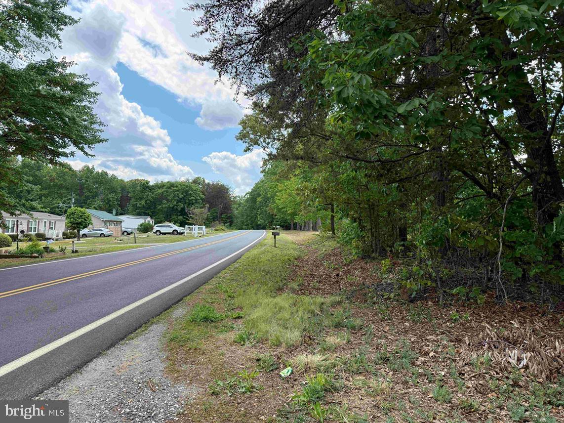 Bell Road Dillwyn, VA 23936 - Photo 19 of 21