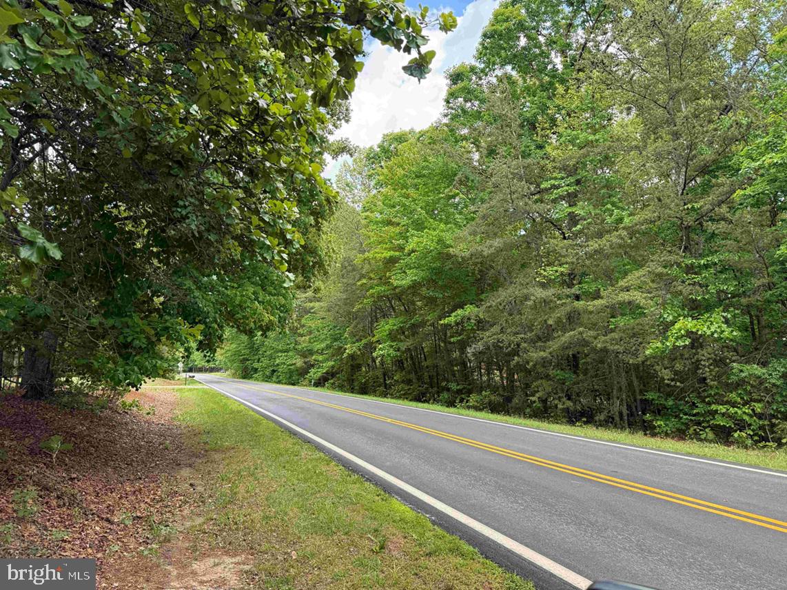 Bell Road Dillwyn, VA 23936 - Photo 20 of 21