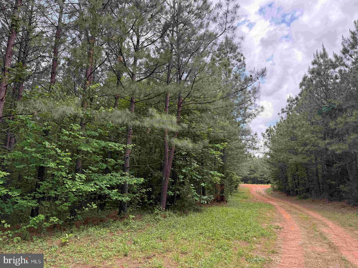 Bell Road Dillwyn, VA 23936 - Photo 2 of 21