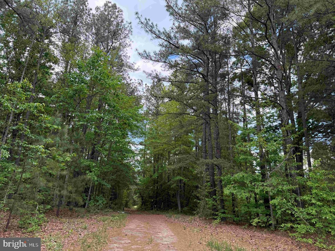 Bell Road Dillwyn, VA 23936 - Photo 21 of 21