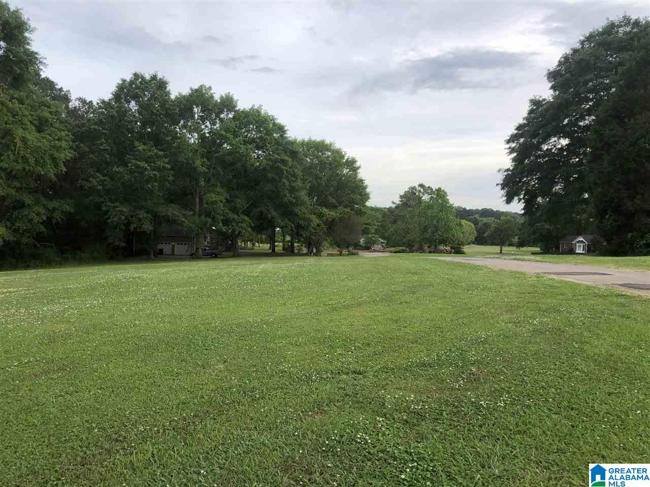 0 Carleton Point Drive, Unit 5 Wilsonville, AL 35186 - Photo 1 of 5