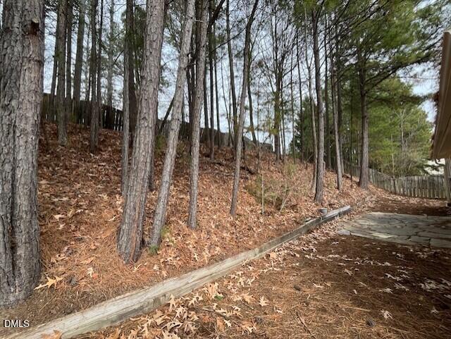 4514 Conklin Drive Durham, NC 27713 - Photo 24 of 32 a backyard of a house with lots of green space