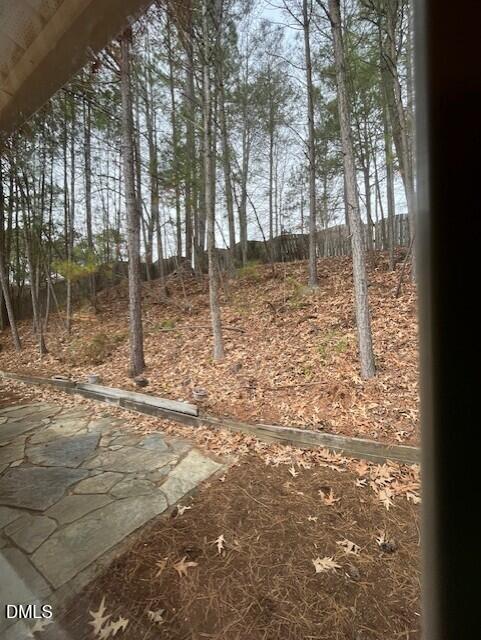 4514 Conklin Drive Durham, NC 27713 - Photo 32 of 32 a backyard of a house with lots of green space