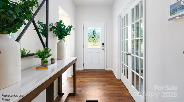 a view of a flower pot with a potted plant