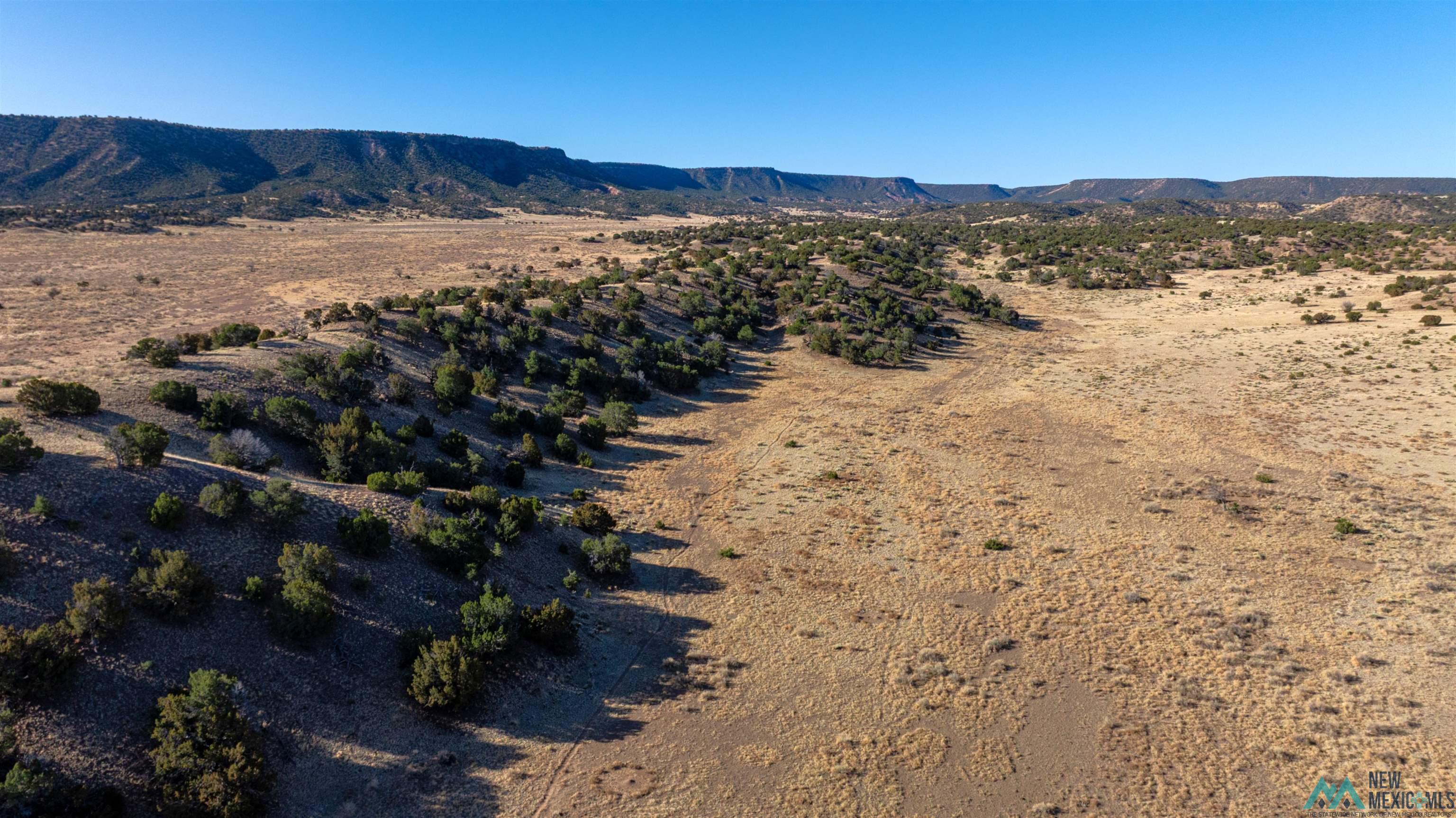 104 North Orona Road Quemado, NM 87829 - Photo 1 of 1