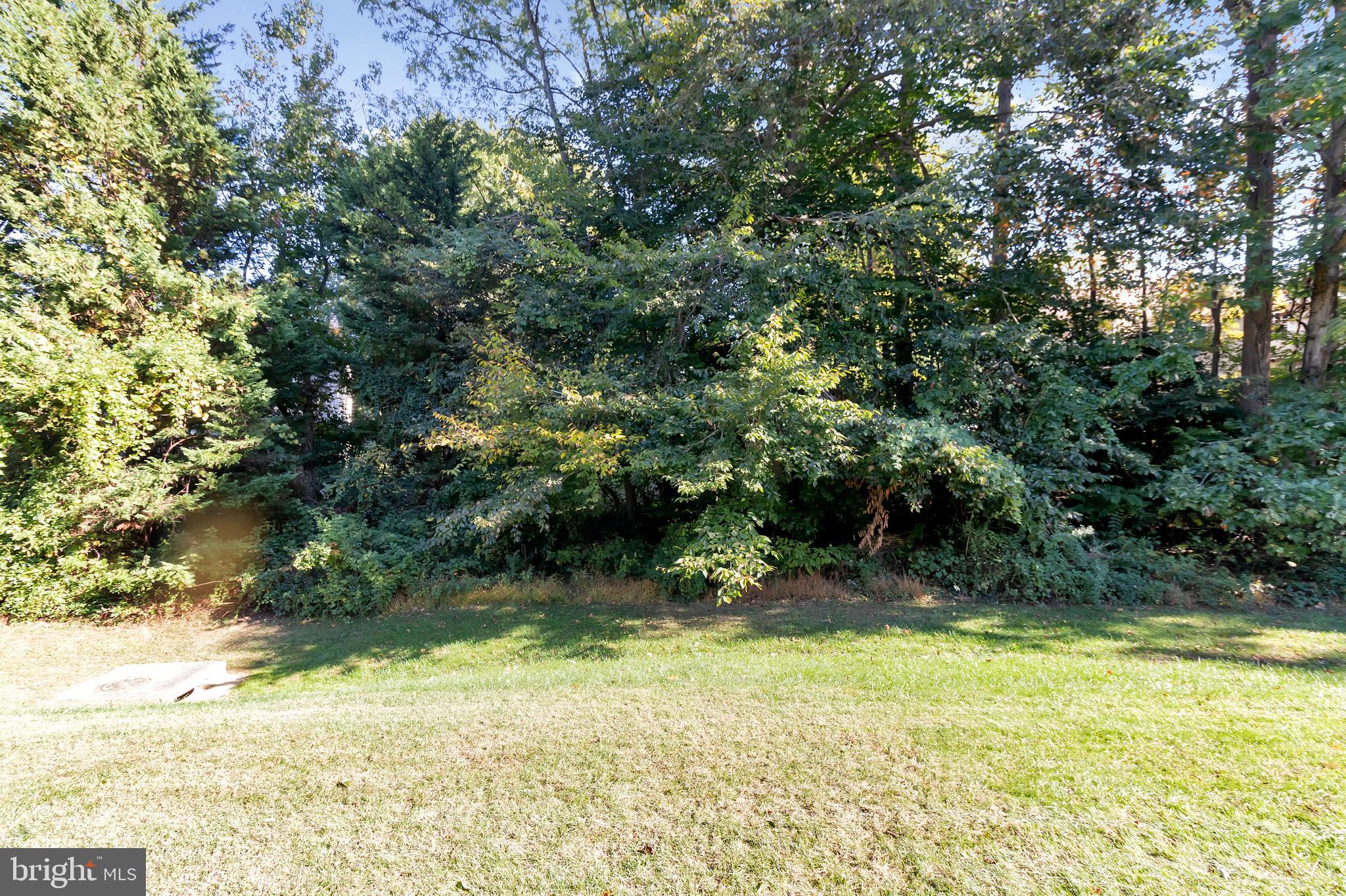6591 Forest Dew Court Springfield, VA 22152 - Photo 37 of 39 Fenced property backs to trees and open space