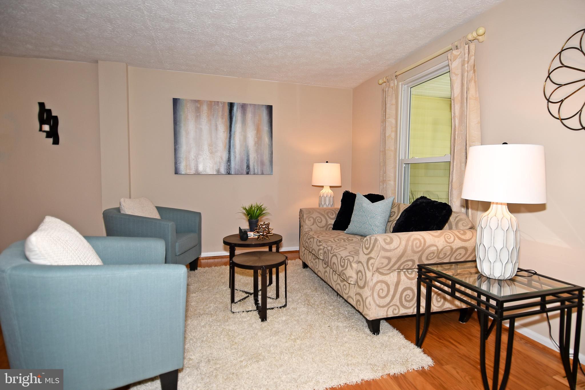 6591 Forest Dew Court Springfield, VA 22152 - Photo 5 of 39 Your welcoming and bright living space!