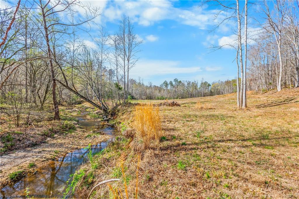 0 Farm Road Pilot Mountain, NC 27041 - Photo 11 of 19 2.5 acre field behind cabin