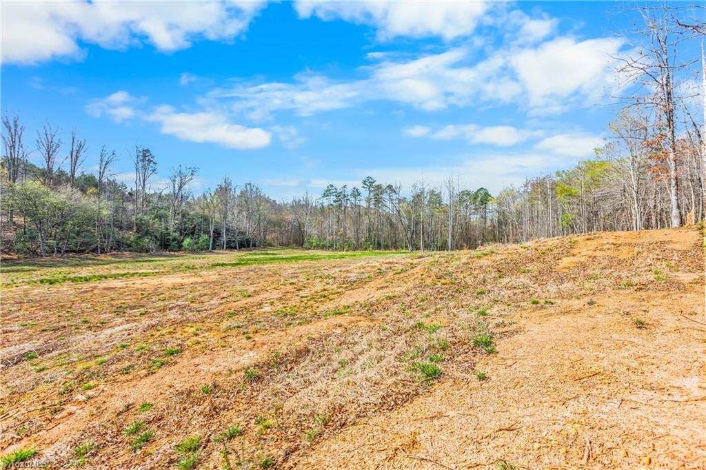 0 Farm Road Pilot Mountain, NC 27041 - Photo 12 of 19 2.5 acre field behind cabin