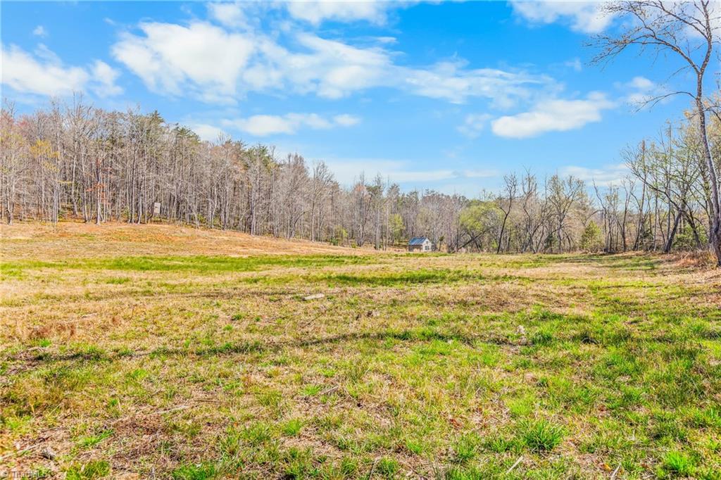 0 Farm Road Pilot Mountain, NC 27041 - Photo 13 of 19 2.5 acre field behind cabin