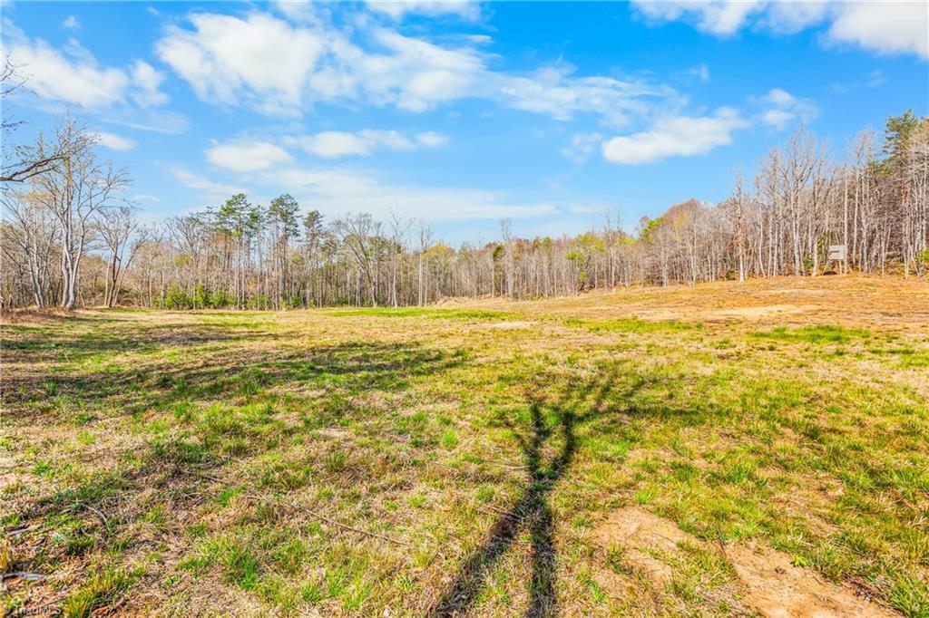 0 Farm Road Pilot Mountain, NC 27041 - Photo 14 of 19 2.5 acre field behind cabin