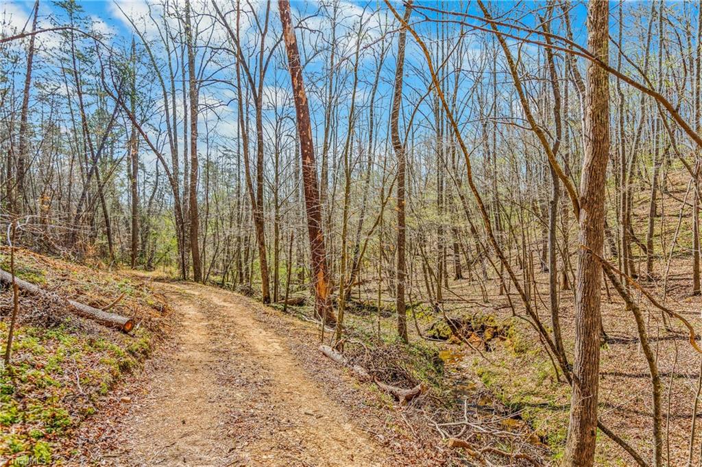 0 Farm Road Pilot Mountain, NC 27041 - Photo 15 of 19
