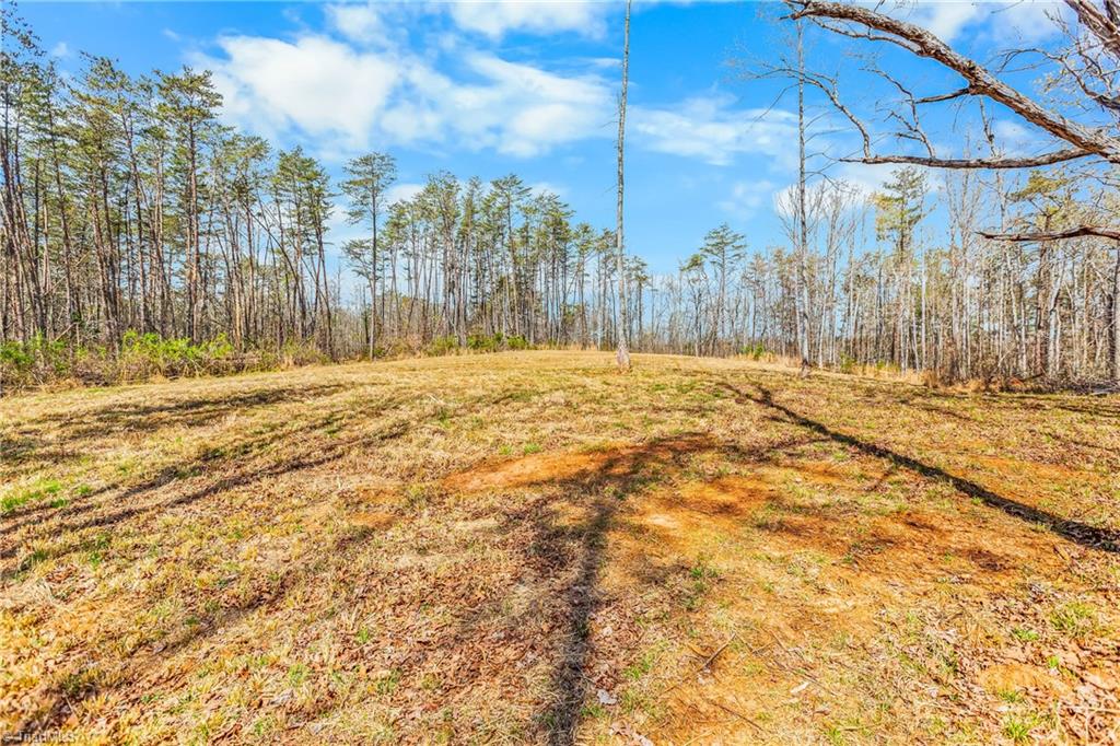 0 Farm Road Pilot Mountain, NC 27041 - Photo 17 of 19 1 acre field at highest part of property. It has long range views of mountains.
