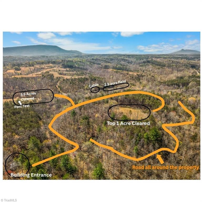 0 Farm Road Pilot Mountain, NC 27041 - Photo 19 of 19
