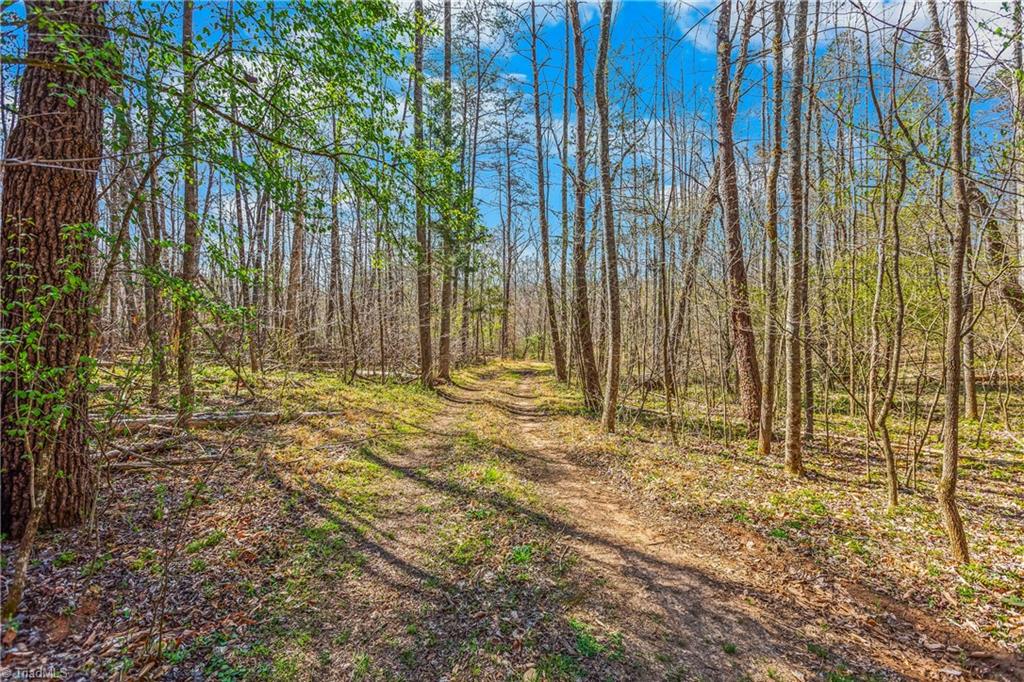 0 Farm Road Pilot Mountain, NC 27041 - Photo 2 of 19