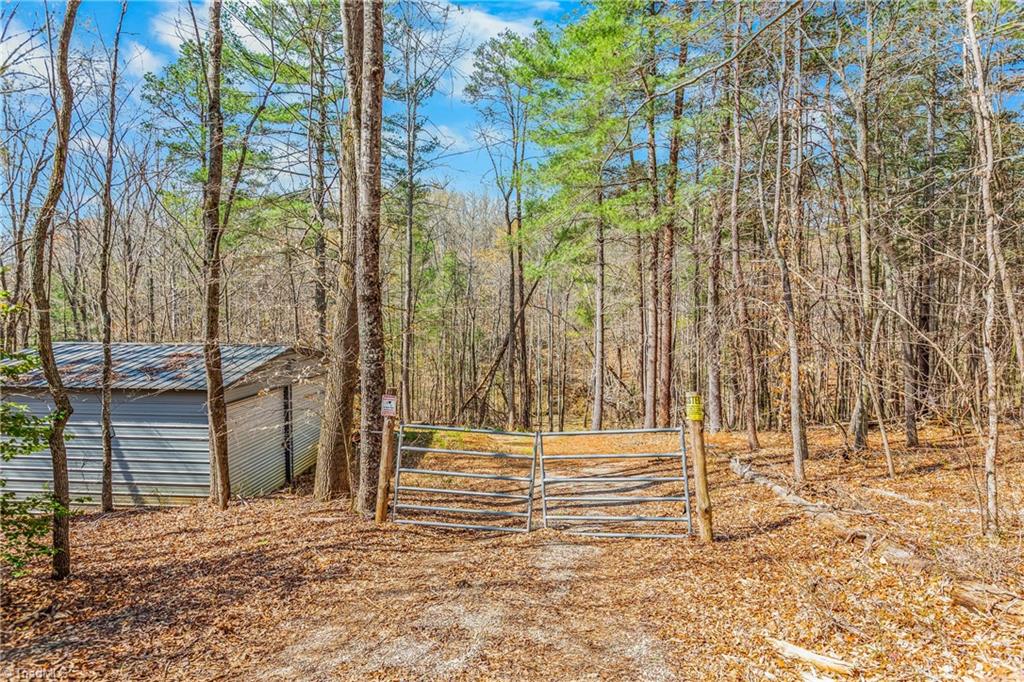 0 Farm Road Pilot Mountain, NC 27041 - Photo 3 of 19