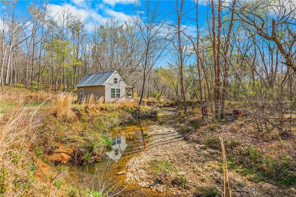 0 Farm Road Pilot Mountain, NC 27041 - Photo 4 of 19