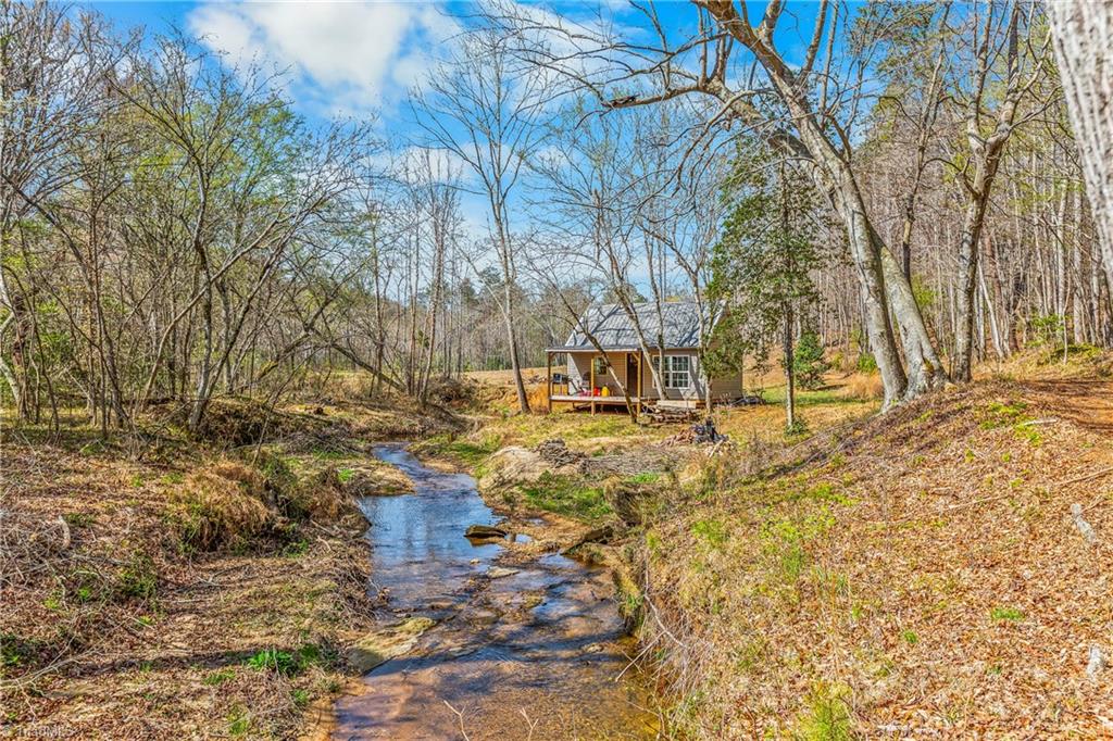 0 Farm Road Pilot Mountain, NC 27041 - Photo 6 of 19